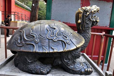 中国 龙龟 风水